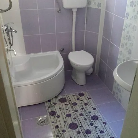 Mountain House Tara Nikolic 公寓