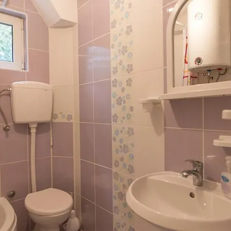 Mountain House Tara Nikolic *