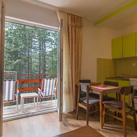 公寓 Mountain House Tara Nikolic 卡鲁德杰尔斯科巴尔