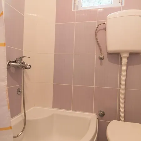 Mountain House Tara Nikolic 公寓 卡鲁德杰尔斯科巴尔