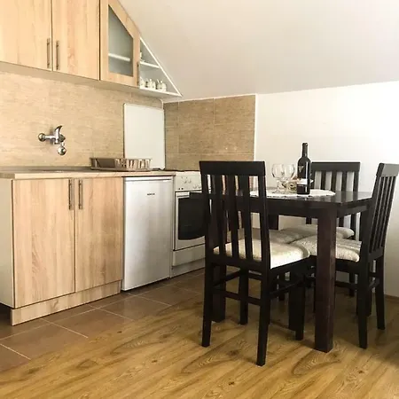 Mountain House Tara Nikolic 公寓 卡鲁德杰尔斯科巴尔