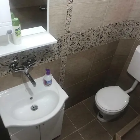 Mountain House Tara Nikolic *