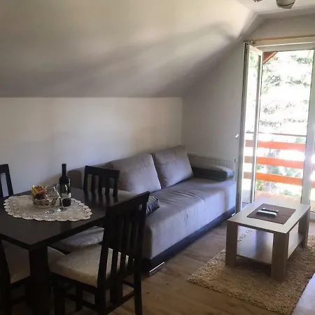 Mountain House Tara Nikolic *