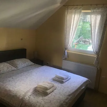 Mountain House Tara Nikolic 公寓