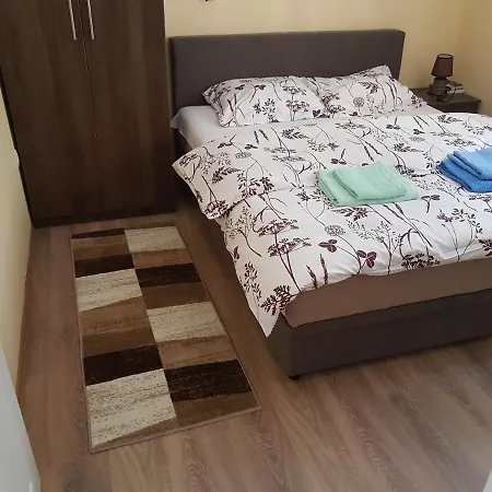 Mountain House Tara Nikolic 公寓 卡鲁德杰尔斯科巴尔