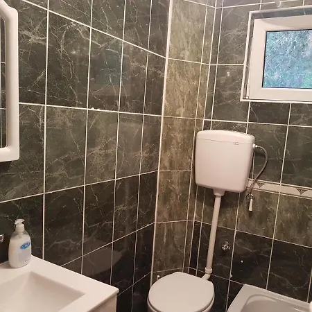 Mountain House Tara Nikolic 公寓