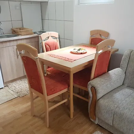 Mountain House Tara Nikolic 公寓 卡鲁德杰尔斯科巴尔