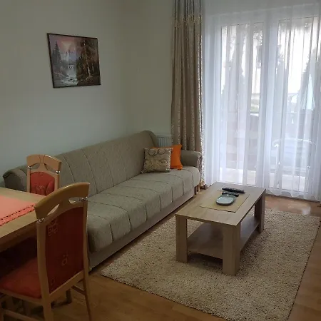 Mountain House Tara Nikolic 公寓 卡鲁德杰尔斯科巴尔